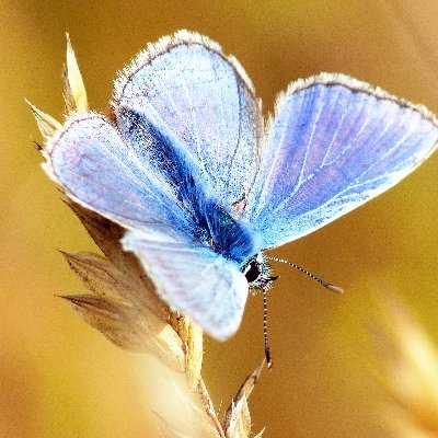 LivinginGraces's profile picture. We are an eating disorder support foundation that provides the resources required to navigate an eating disorder journey.