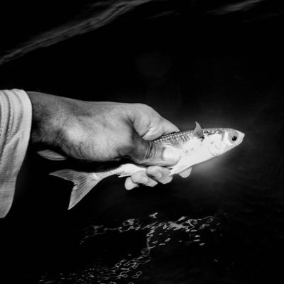 JorgePanchoaga's profile picture. Fotógrafo ● Antropólogo ● Explorador NatGeo @insidenatgeo cofundador @vistprojects X-Photographer Fujifilm https://t.co/Nta6aEMwLy