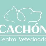 Cuidando de vuestras mascotas desde 1997.
Avda. Padre Isla, 53 - 24003 León - Tlfnos: 987 44 55 77 - Urg: 607 46 23 72 - email: contacto@veterinariacachon.com