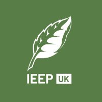 IEEP UK(@IEEP_uk) 's Twitter Profile Photo