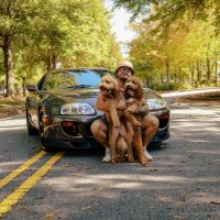 Chris (@poonszn) 's Twitter Profile
