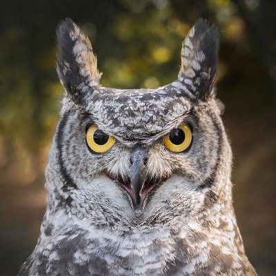 riverside18's profile picture. 