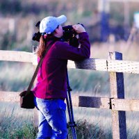 Amy(@amythebirder) 's Twitter Profile Photo