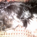 nichole greer bogle - @nb87478 - Twitter