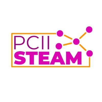 PciiSteam Profile Picture