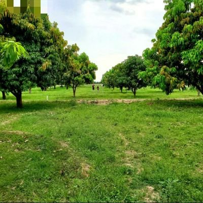 nyf01264163's profile picture. 