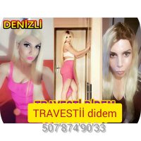 denizli t̑ȓ̈avȇ̈s̑̈t̑i DİDEM (@aleynagulluoglu) 's Twitter Profile