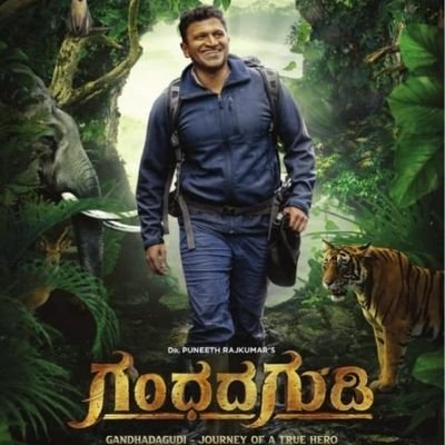 HR2545's profile picture. 