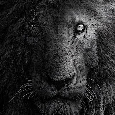 MDCpatriot1975's profile picture. Engenheiro, patriota e cristão 🇧🇷. - Never Again - ADSUMUS | ☠️⚔️