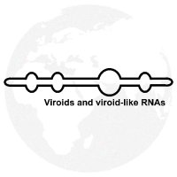 ICVd (@viroidmeeting) 's Twitter Profile Photo