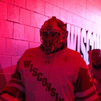Wisconsin Hockey #35