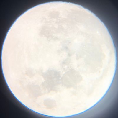 MJさんのプロフィール画像