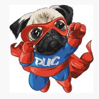 Pug Fly(@pug_fly) 's Twitter Profile Photo