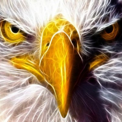 eagle45062104's profile picture. 🤲🤲🤲