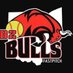 🥎 B2 Bulls 15U - SF (@b2bulls15u_sf) Twitter profile photo 🥎 B2 Bulls 15U - SF (@b2bulls15u_sf) Twitter profile photo