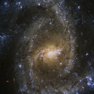 nemethempire's profile picture. 