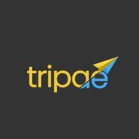 Tripae(@TripaeDotCom) 's Twitter Profile Photo