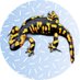 wa1tf0rme (@wa1tf0r_me) Twitter profile photo