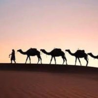 موقظ (@moqiz11) Twitter profile photo