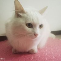 0x167 (@younger167) 's Twitter Profile