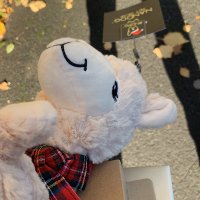 ACH (@arranh143) 's Twitter Profile Photo