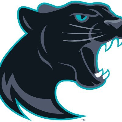 Panther Esports. 3 Valorant Team, 1 RL, 1 LoL 1 SSBUs, 3 Fortnites, 3 OnlineChess.
This account is not monitored by Frisco ISD or our school administration.