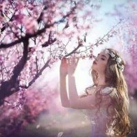 زهرة الماضي (@zhrlmy1) 's Twitter Profile