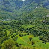 Aner Alhmdiny (@alhmdinyaner) Twitter profile photo