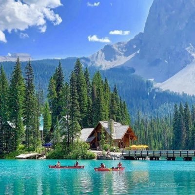 vbnm12567's profile picture. 