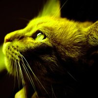 Jerome Washington (π,π§‘) (@jeromew14692217) 's Twitter Profile