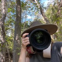 Nancy Stone Photography (@nancystonephoto) 's Twitter Profile