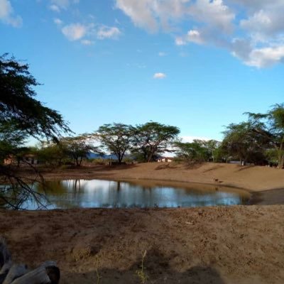 JoseDav16745109's profile picture. 🙈🙈🙈