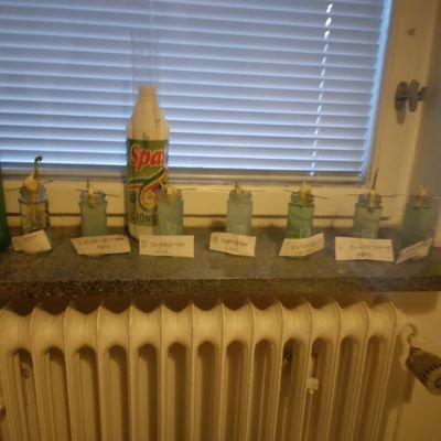 David68932579's profile picture. 