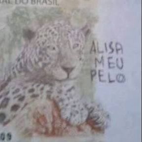 Alisa meu pelo