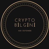 Crypto Bilgini (@cryptobilgini) 's Twitter Profile
