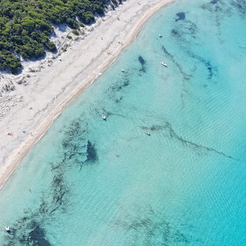 VoyagerEnCorse's profile picture. 