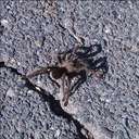 James Gingras - @JG_Energy - Twitter