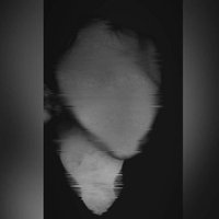 Futility's Forgotten Soldier (@futilityfs) 's Twitter Profile