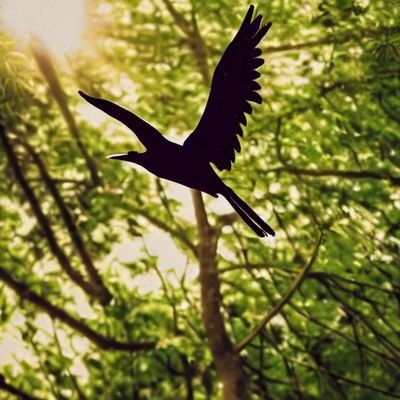 airspring3's profile picture. 主に筋トレの日記。
ペンチプレス110kg達成。
4年後に再度フルマラソン4時間切に挑戦したい（2026年）。
※つぶやきはかなり少ないです。