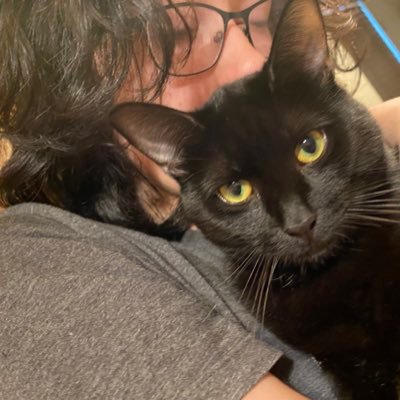 Democrat, LBGTQ🌈Women’s Rights, Pro Choice, Wife, Busy Mom, and Professional, animal lover, luv my fur babies. 🌊#BlueCrew NO DMS 🪙 NO CRYPTO