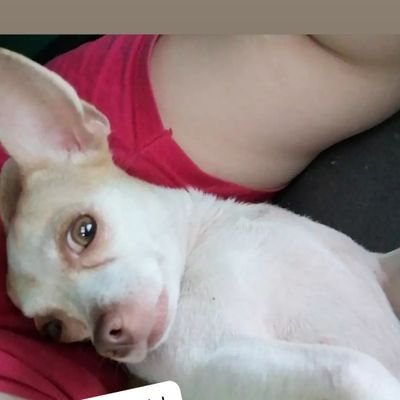 joseCorella17's profile picture. 