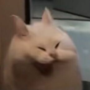 TacoCrabDelight's profile picture. 21. Skrrt 🔞