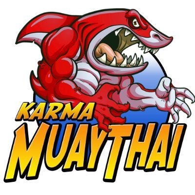 We teach Martial arts, Thaiboxing, Muay Thai and MMA, for all levels from beginners to fighters.