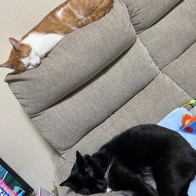 mame_mugi_mama's profile picture. 