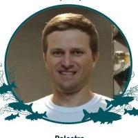 Fernando Carvalho (@frcarvalho7) 's Twitter Profile