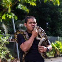 ⬅️ tukang jaga kebun orang (@ripthewhisperer) 's Twitter Profile