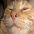 I play games and stream them sometimes. I used to play COD/CS a little. Mindfulness.