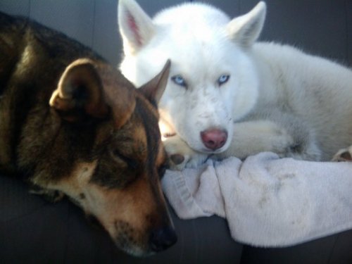 wallykiii's profile picture. MS Procurement & Contracts Management
Lovely wife, 2 adult kids, 3 grandsons + great dogs
Love and always looking for a better way