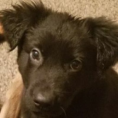 TreytnCurrant's profile picture. 