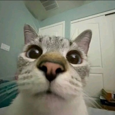 kramlesaw's profile picture. 